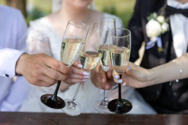 The newlyweds and their friends toast with champagne. clipart