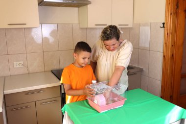 İnsanlar hamsterla ilgileniyor ve oynuyorlar..