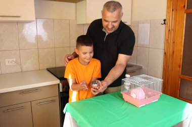 İnsanlar hamsterla ilgileniyor ve oynuyorlar..