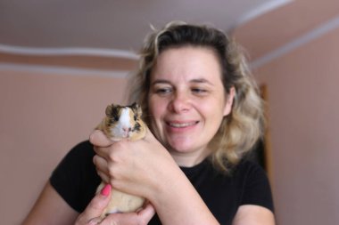 İnsanlar kobayla ilgileniyor ve onunla oynuyor..