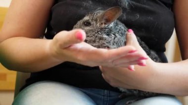 İnsanlar Çingenelerle ilgilenir ve onlarla oynar..