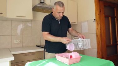 İnsanlar hamsterla ilgileniyor ve oynuyorlar..