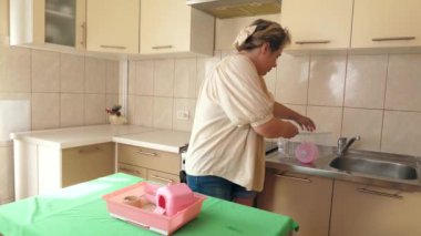 İnsanlar hamsterla ilgileniyor ve oynuyorlar..