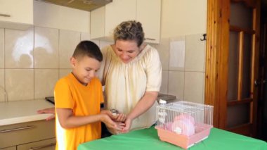 İnsanlar hamsterla ilgileniyor ve oynuyorlar..