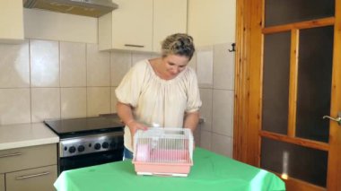 İnsanlar hamsterla ilgileniyor ve oynuyorlar..