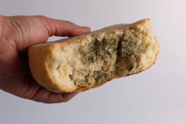 Küflü bir somun ekmek ikiye bölünür. Ekmeği yok et..