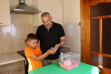 İnsanlar hamsterla ilgileniyor ve oynuyorlar..