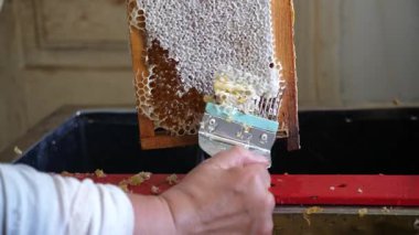 Arıcı arı çerçevelerinden balmumu keser. Bal üretimi. Arıcı işi..