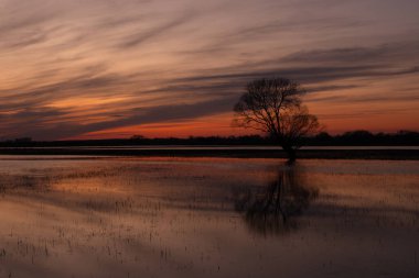 Varşova-Berlin proglacial vadisinde gün batımı