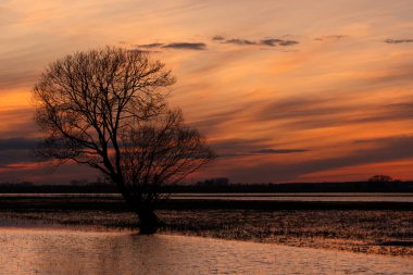 Varşova-Berlin proglacial vadisinde gün batımı