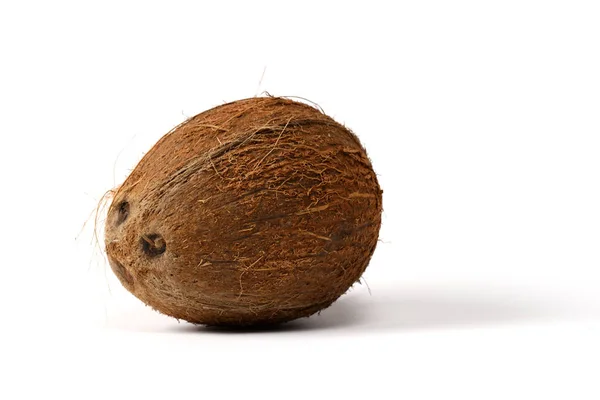 Hele Kokosnoot Witte Achtergrond — Stockfoto