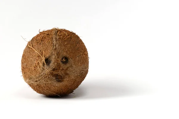 Kokosové Ořechy Bílém Pozadí — Stock fotografie