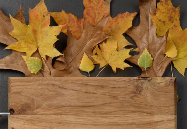 sonbahar yaprakları ve ahşap arkaplan çerçevesi