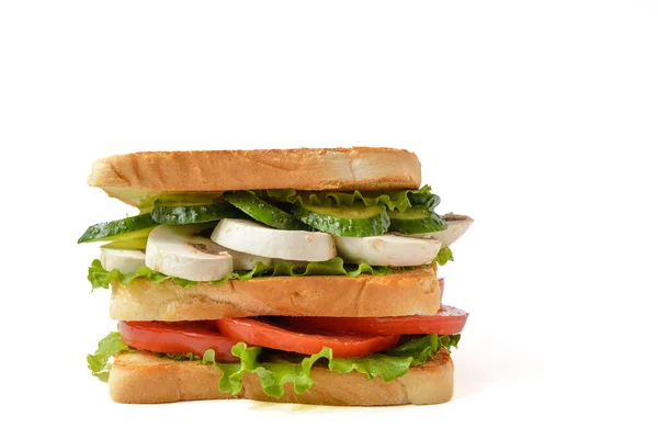 Домашній Веганський Бутерброд Грибами Помідорами Огірком Зеленим Салатом Сендвіч Ізольований — стокове фото