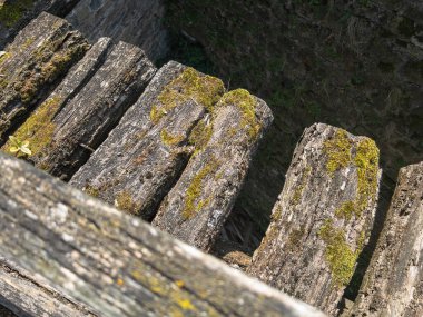 Köprünün çürümüş odunları