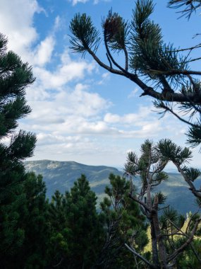 Karpat Dağları 'nın manzara görüntüsü