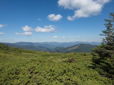 Karpat Dağları 'nın manzara görüntüsü