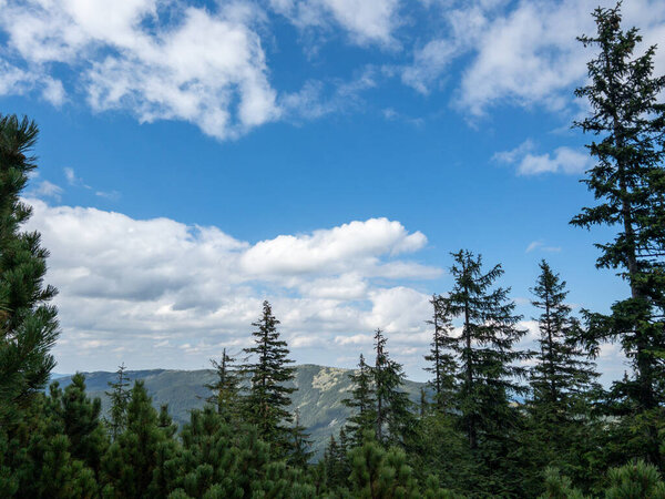 Landscape view of trees and Carpathian Mountains in background