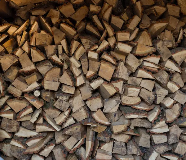 Kış mevsimine hazır büyük bir odun yığını..