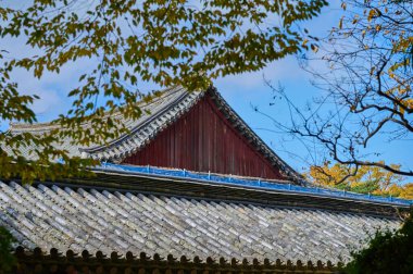 Mavi Gök Altında Kore Geleneksel Pavyonu Süslemeleri