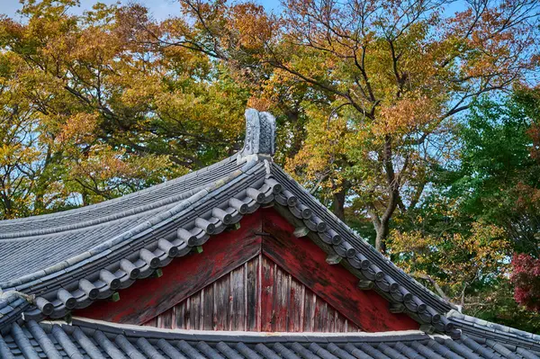 Mavi Gök Altında Kore Geleneksel Pavyonu Süslemeleri