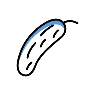 salatalık simge vektör çizim   