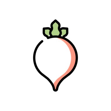 turnip vector illustration icon background 