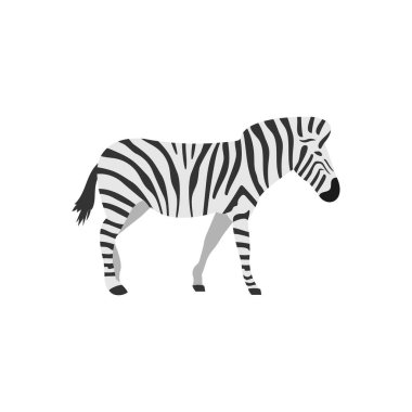 Arka planda zebra vektörü çizimi. Kaliteli semboller. kavram ve grafik tasarımı için vektör simgeleri.