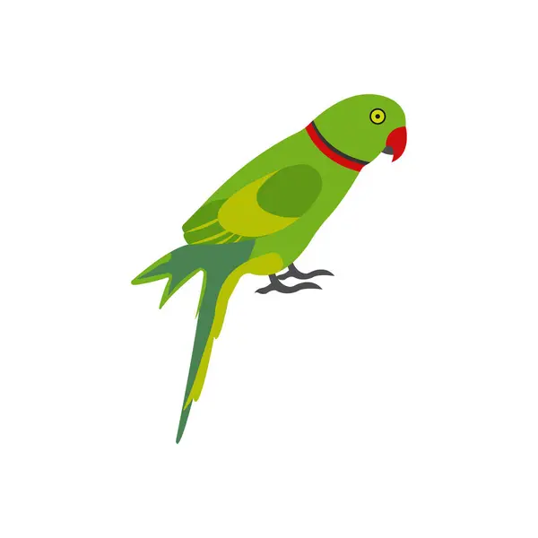 Απεικόνιση Του Παπαγάλου Διάνυσμα Ένα Φόντο Σύμβολα Υψηλής Ποιότητας Εικονίδια — Διανυσματικό Αρχείο