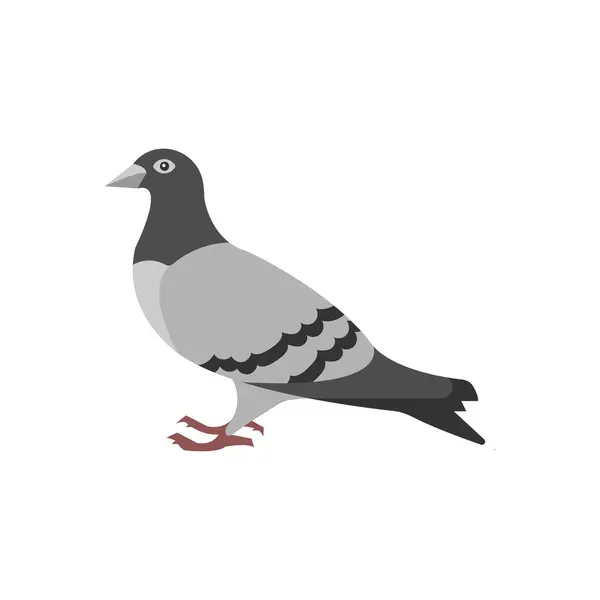 Pigeon Illustration Vectorielle Sur Fond Symboles Qualité Premium Icônes Vectorielles — Image vectorielle