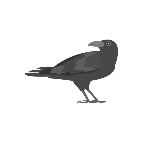 Crow Векторная Иллюстрация Заднем Плане Символы Высшего Качества Векторные Иконки — стоковый вектор