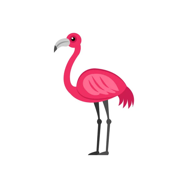 Flamingo Ilustração Vetorial Sobre Fundo Símbolos Qualidade Premium Ícones Vetoriais —  Vetores de Stock