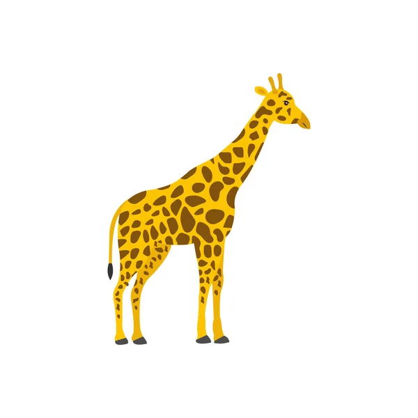 Ilustracja Wektora Żyrafy Tle Symbole Najwyższej Jakości Ikony Wektorowe Dla — Wektor stockowy