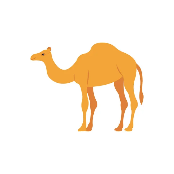 Camel Illustration Vectorielle Sur Fond Symboles Qualité Premium Icônes Vectorielles — Image vectorielle