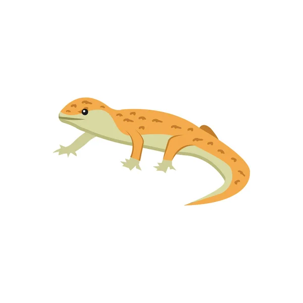 Lizard Vector Illustration Background Premium Quality Symbols Vector Icons Concept — Stock Vector