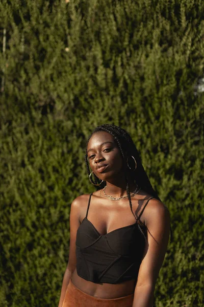 Retrato Uma Jovem Negra Com Tranças Cabelo Enquanto Desfruta Tarde — Fotografia de Stock