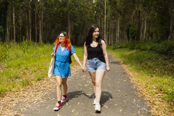 Kilka Młodych Lesbijek Idzie Ręka Rękę Wiejskiej Ścieżce Podczas Wycieczki — Zdjęcie stockowe