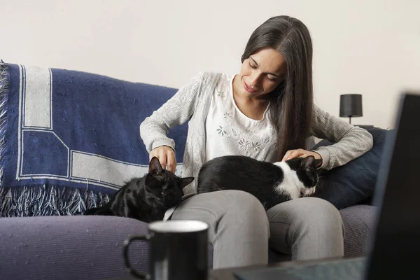 A woman caresses and plays with her cats, while enjoying a cup of tea with the pc laptop on the table, sitting on the sofa at home.