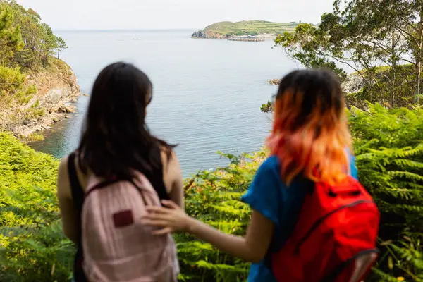 两个年轻的女孩 在前景一片茫茫 喜欢穿过森林步行到海边一个自然的海滨 集中在后方 图库照片