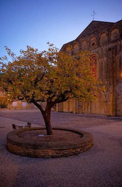 Old Basilica Tree Twilight Small Village Cadouin Dordogne France Stained Stockfoto