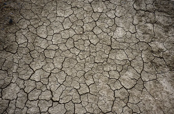 Dry Cracked Earth Texture Drought Stockbild