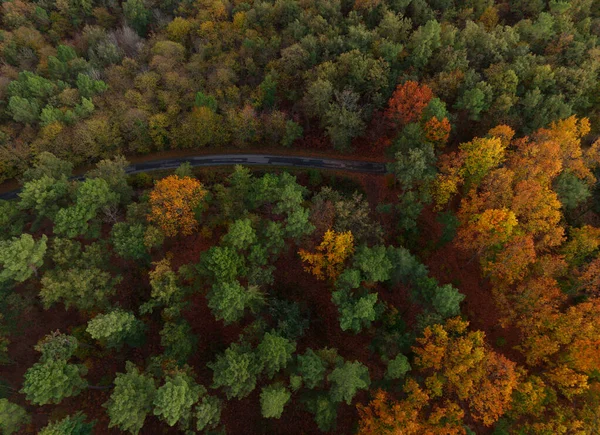 Autumn Landscape Aerial View Beautiful Forest Colorful Leaves lizenzfreie Stockbilder