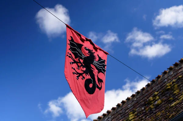 Medieval flag with red dragon, during medieval festival in Monpazier, Dordogne