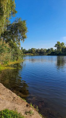 Nehir kıyısı ağaçlarla çevrilidir. Yaz doğası ve rahatlama. Boşluğu kopyala