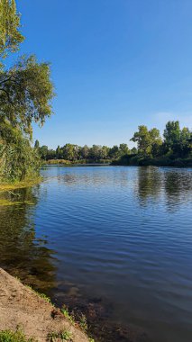 Nehir kıyısı ağaçlarla çevrilidir. Yaz doğası ve rahatlama. Boşluğu kopyala