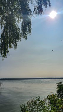 Ağaçlar ve bitkilerle çevrili büyük bir gölet. Kamp yapmak. Sonbahar manzarası. Boşluğu kopyala