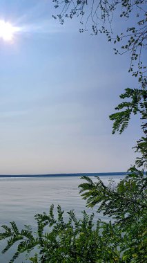 Ağaçlar ve bitkilerle çevrili büyük bir gölet. Kamp yapmak. Sonbahar manzarası. Boşluğu kopyala