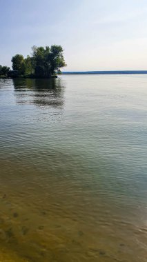 Ağaçlar ve bitkilerle çevrili büyük bir gölet. Kamp yapmak. Sonbahar manzarası. Boşluğu kopyala