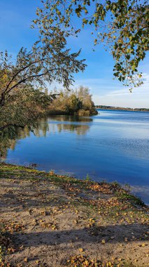 Sonbahar nehri kıyısı. Ağaçlarda sarı para, kumda ayak izleri. Ağaçlardaki kargalar. Kamp.