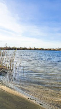 Sonbahar nehri kıyısı. Ağaçlarda sarı para, kumda ayak izleri. Ağaçlardaki kargalar. Kamp.